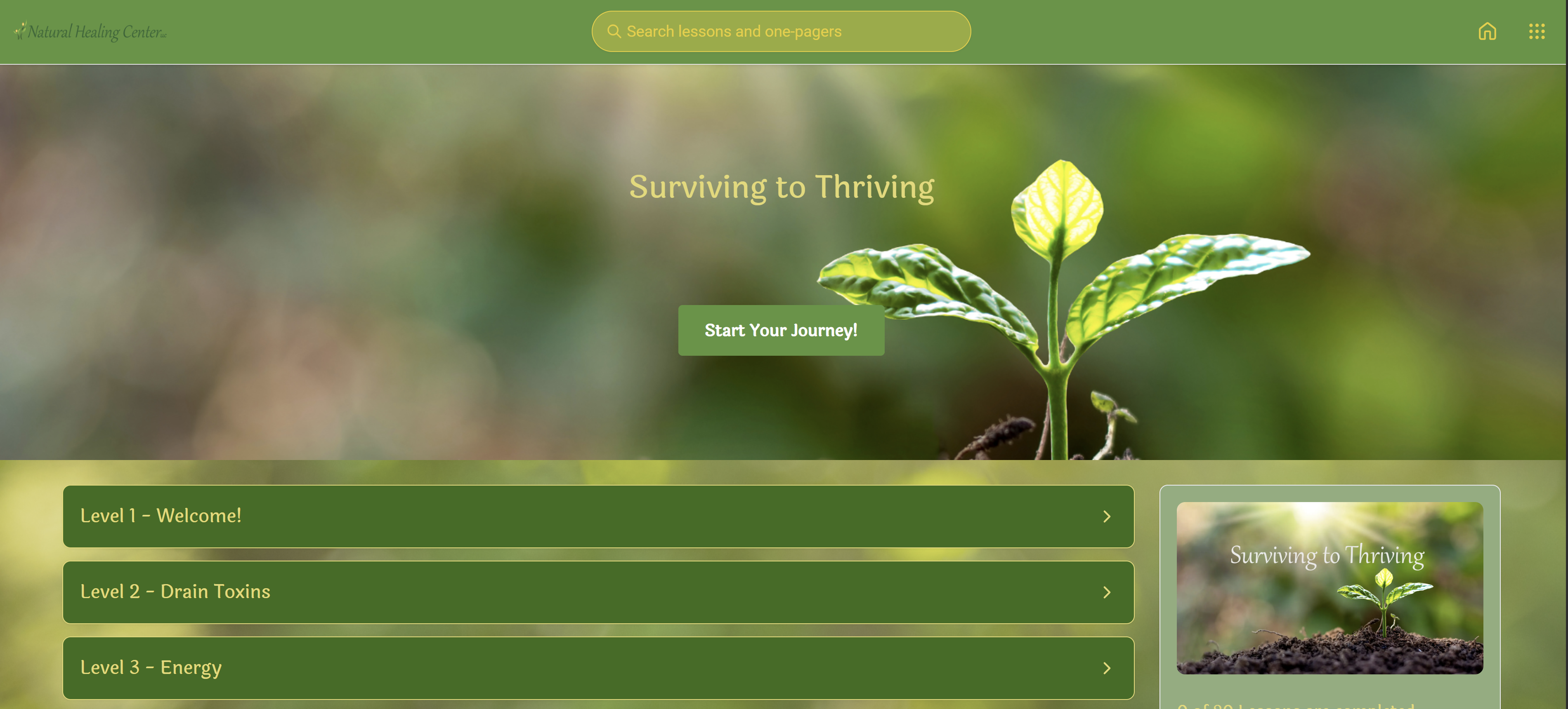 Surviving to Thriving Part 1